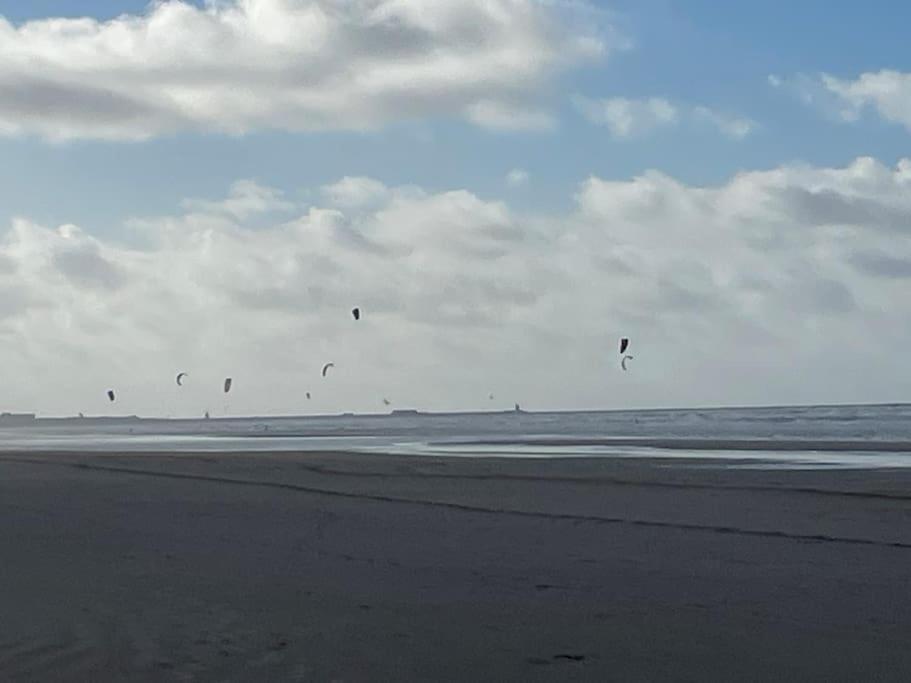 Fisherman'S Cottage - Surf Retreat Wijk aan Zee Dış mekan fotoğraf